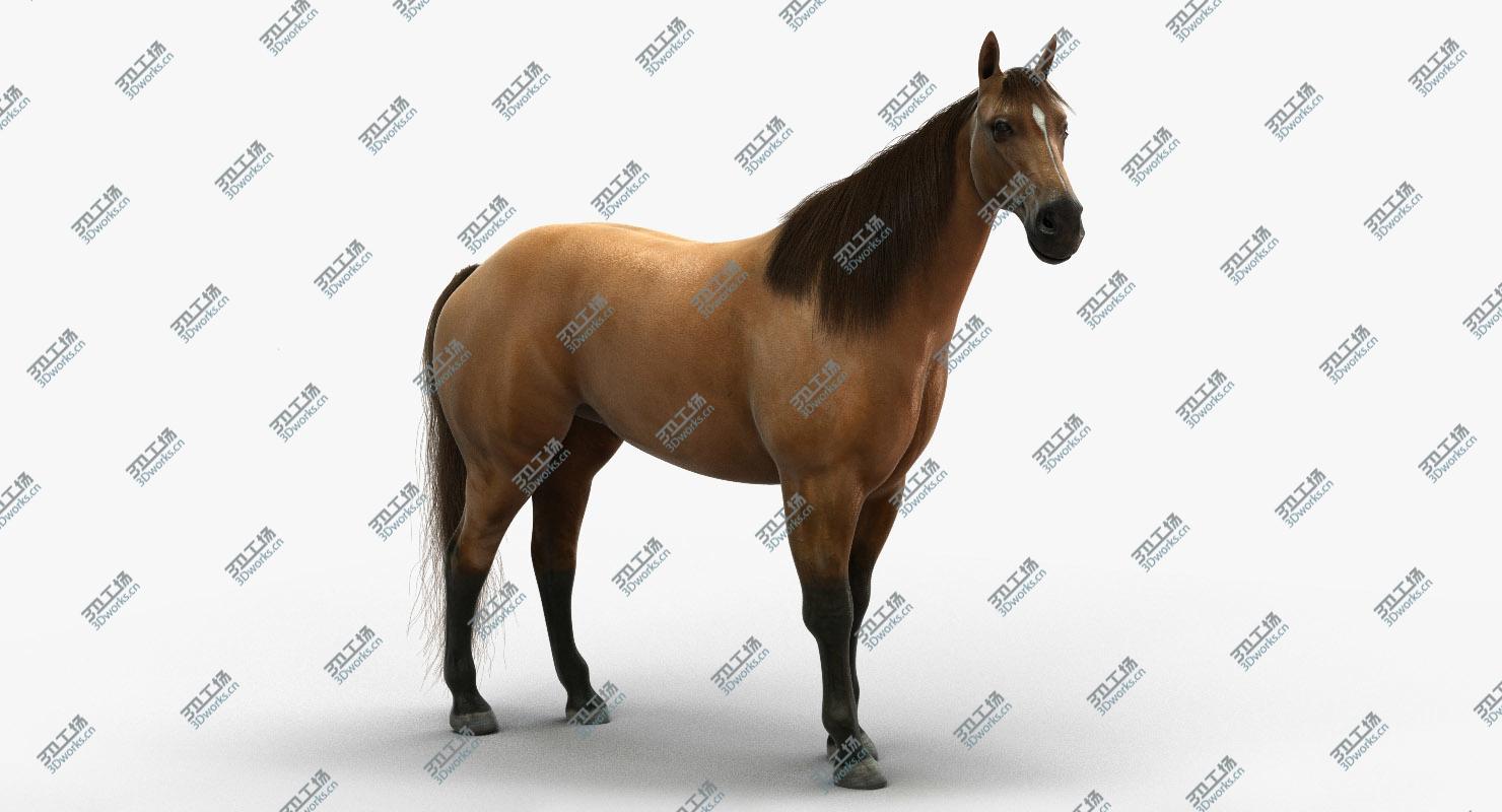 images/goods_img/2021040234/Horse (ANIMATED)/2.jpg